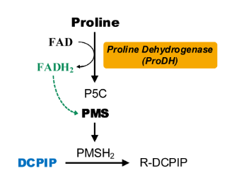 脯氨酸脫氫酶活性檢測(cè)試劑盒圖2