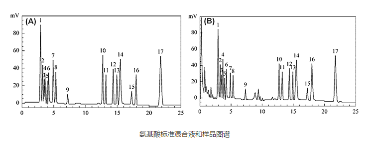 LCMS氨基酸檢測圖譜報(bào)告