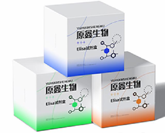 葉酸/維生素B9酶聯(lián)免疫試劑盒