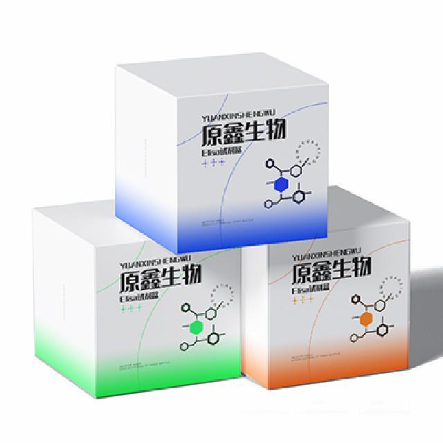 人多形核白細(xì)胞彈性蛋白酶(PMN Elastase)試劑盒